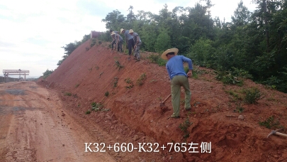 長沙東日?qǐng)@林工程有限公司,長沙園林綠化工程,長沙綠化養(yǎng)護(hù)管理